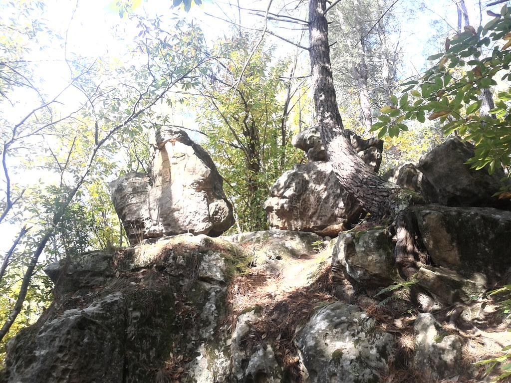 Le Gite De Cristal Proche Bugarach Granes Dış mekan fotoğraf