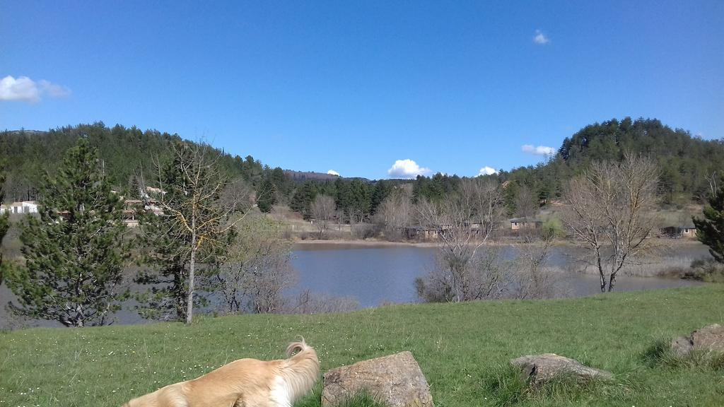 Le Gite De Cristal Proche Bugarach Granes Dış mekan fotoğraf