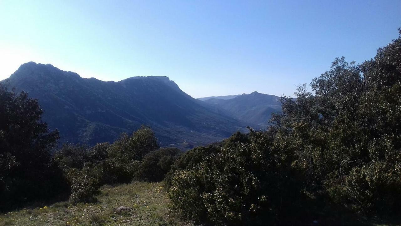 Le Gite De Cristal Proche Bugarach Granes Dış mekan fotoğraf