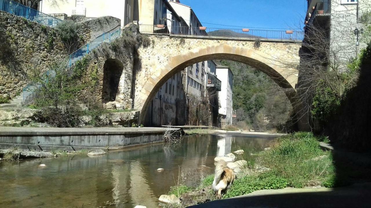 Le Gite De Cristal Proche Bugarach Granes Dış mekan fotoğraf